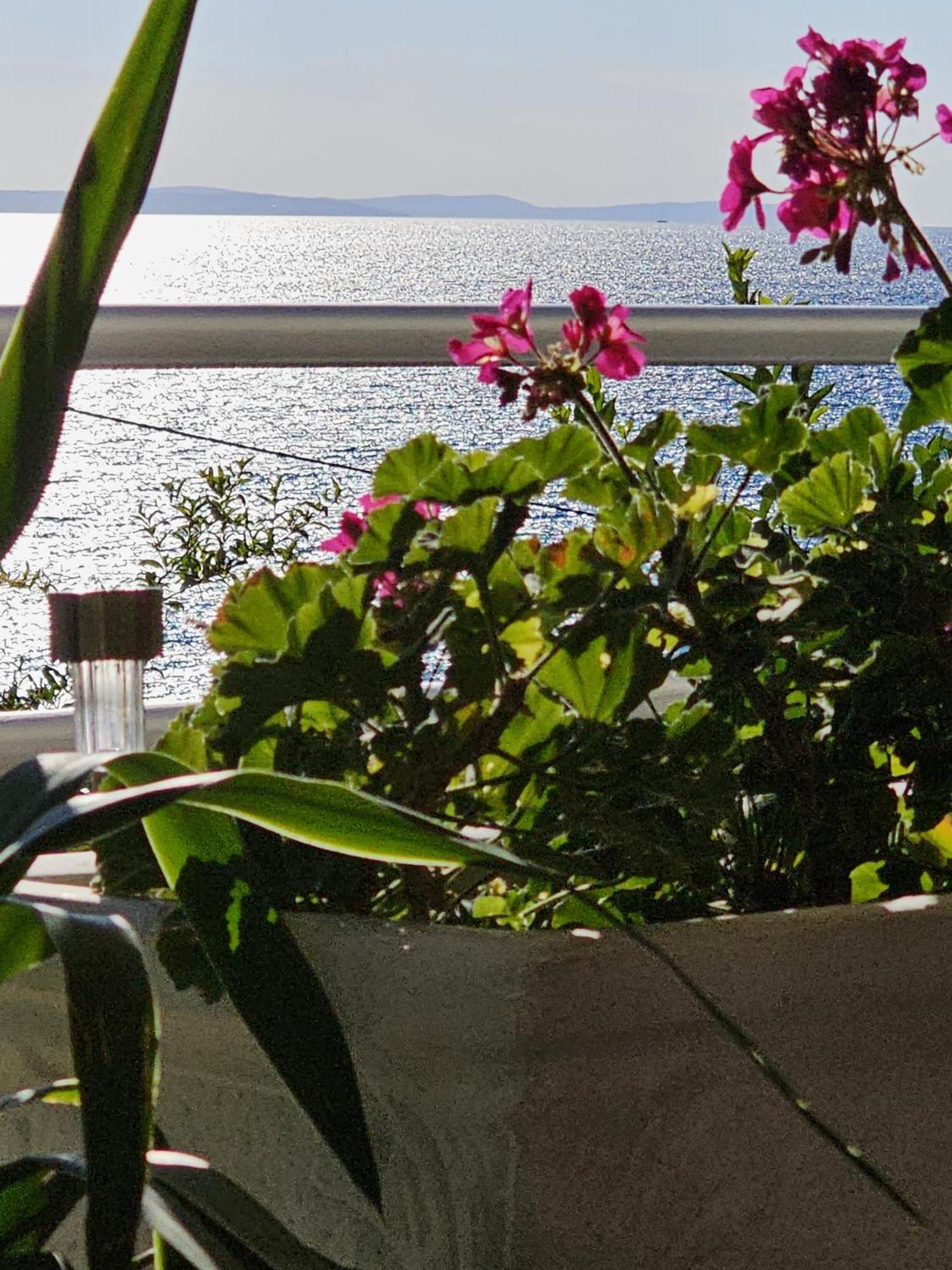 Beach Apartments Mika Локва-Рогозница Экстерьер фото